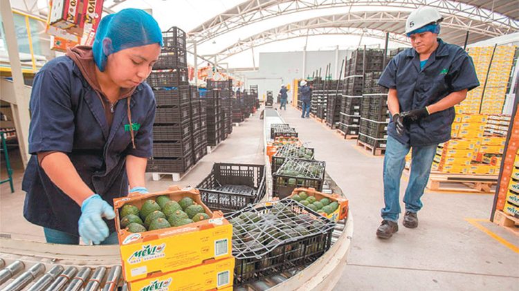 Va México Por 38 Nuevos Mercados Para Exportar Alimentos Semanario El Pionero 8126