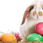 Conejo de Pascua, ¿cuál es el significado y por qué se regalan huevos de color?