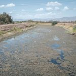 Campesinos en Mexicali aceptan parar producción para cuidar el agua de EU