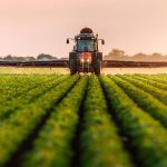FAO pide al G20 impulsar sistemas agroalimentarios viables ante crisis climática y hambre