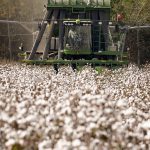El cambio climático sin control podría reducir el PIB mundial per cápita hasta en un 24 %