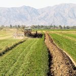 ¿Qué será muy difícil informar?… Al parecer, sí