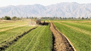 ¿Qué será muy difícil informar?… Al parecer, sí