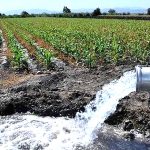 Agua: primero informar, después planear y finalmente ejecutar