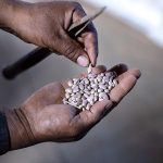 T-MEC: escuchar todas las voces del campo