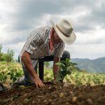 El sombrero no es disfraz