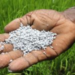 IICA busca garantizar el abastecimiento de fertilizantes en América