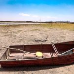 Calor extremo lleva a la agricultura mundial «al límite»