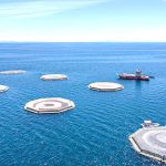 Totoaba consolida identidad y fortalece gastronomía de BC
