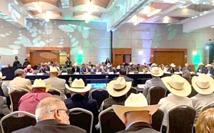 Reunión binacional para fortalecer sanidad pecuaria
