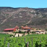 Valle de Guadalupe enfrenta el reto de evolucionar su modelo turístico: M. Bremer