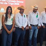 ¿Es bueno revivir los Sistemas Producto?