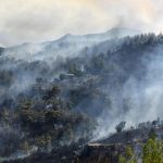 Turquía arde: bomberos combaten importantes incendios forestales