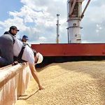 El trigo mejora en el mundo, ¿mejorará para el productor del Valle?