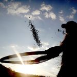 Cosecha récord de granos en Brasil: 353 millones de toneladas
