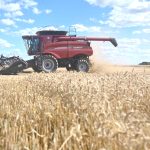 IICA y Brasil lanzan una plataforma con el fin de compartir tecnologías y conocimientos agrarios