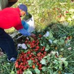 32 millones de personas padecen hambre en América Latina y el Caribe