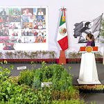 Baja California se suma a la Jornada Nacional de Reforestación 2026