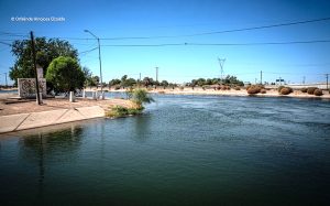 Crisis del agua agrícola en elValle de Mexicali