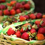 Golpea a fresa mexicana arancel antidumping