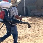 Cancelan fumigaciones en San Quintín por falta de voluntarios