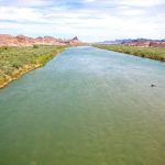 Cuando el agua que no se usa también tiene un precio, el DIP en el Distrito de Irrigación de Imperial