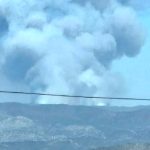Incendio consume 300 hectáreas en Sierra Juárez