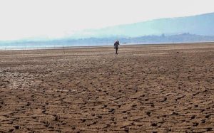 Déficit de 16% de lluvias en ocho meses ya afecta al campo de Durango