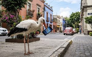 Cae natalidad en México más rápido de lo esperado: INEGI