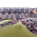 Puerto Rico: miles hacen fila por agua