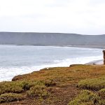 Primera etapa del proyecto Punta Colonet podría estar en 3 años: Honold