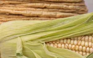 Sader descarta aumento al precio de la tortilla