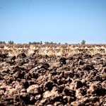 Crisis crediticia en el Valle de Mexicali