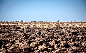 Crisis crediticia en el Valle de Mexicali