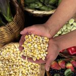 LATAM reclama enla FAO innovacióny multilateralismo contra el hambre
