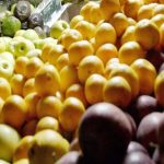 América y África cooperan para avanzar hacia una agricultura sostenible