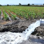 Productores reclamarán recorte de agua agrícola