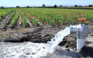 Productores reclamarán recorte de agua agrícola